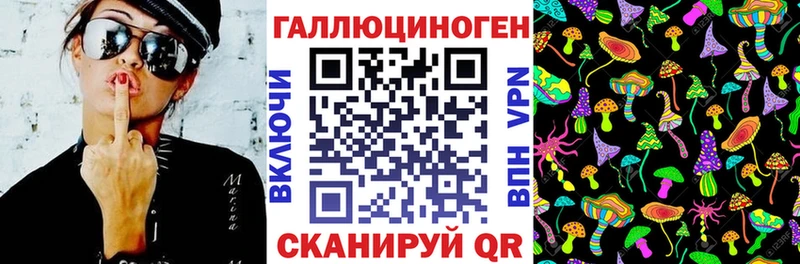 Галлюциногенные грибы Psilocybe  где продают   Сенгилей 